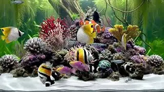 Virtual 4K AQUARIUM / Realistic 3D FISHTANK sim *Various species of Fishes *Natural bubble sound
