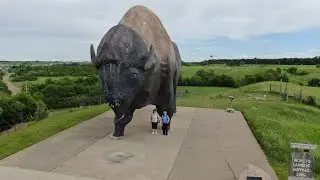 Dakota Thunder Buffalo, Roadside Attraction