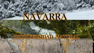 Navarra Biodiversidad Natural #faunanavarra