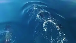 Откройте для себя секретный Девон &mdash; на лодке, часть 3
