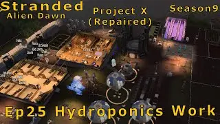 Stranded:  Project X(Repaired) Ep25 Building the Hydroponics