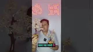 Citrine Quartz Tree Discover the Benefits of Citrine Crystal Tree सिट्रीन क्वार्ट्ज पेड़ के लाभ