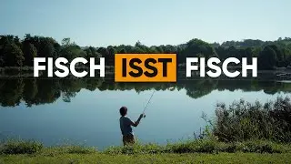 Die Schwachen den Starken, ein Hecht-Tag