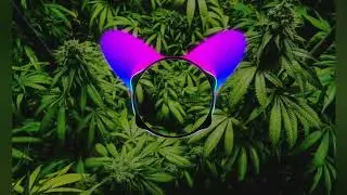 Finga Naka Ringi x Jokem One _ j i v e _ r e m I x 
