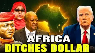 Africa Declares Economic Independence: Ditching Dollar After Trump&rsquo;s Tariffs.