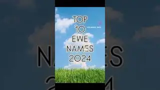 TOP 10 EWE NAMES 2024 #ewe #sheep #top10 #animals #lists #farm