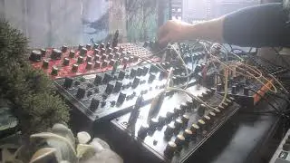 11520261 Deep Dark Experimental Synth Soundscape Behringer Crave Kobol K-2 Wasp Deluxe Microcosm