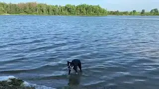 Island Lake Conservation Area, Orangeville Ontario | SkiHikeTravel