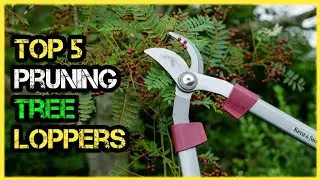 Best Loppers for Pruning Tree Branches (Reviews)