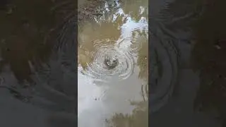 Big storm drain clearing