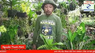 Lan chơi Tết 28/1