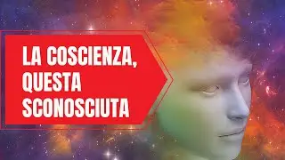 La Coscienza, questa sconosciuta