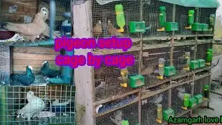 कबूतर का सेपरेट केज कैसे बनायें (pigeon separate cage making)