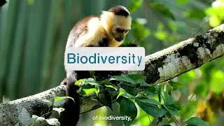 IPBES Nexus Assessment Report Teaser Video