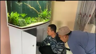 Aquascape Boyu Overlord Aquarium LH-810-3000 | Setting Aquascape 100 cm.