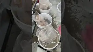 Keep Clay Moist!