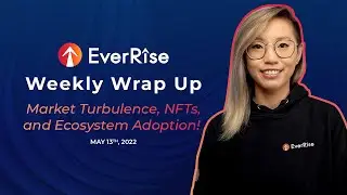 EverRise Weekly Wrap Up: Market Turbulence, NFTs, and Ecosystem Adoption