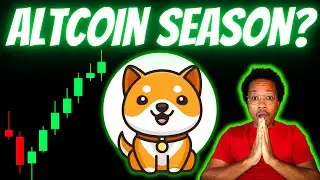 BABY DOGE ARMY: IS THIS THE START OF ALTCOIN SEASON?