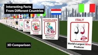 Interesting Facts From Different Countries | 3D Comparison Animation | Data Chart