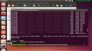 How to install Oracle JDK 8 in Ubuntu