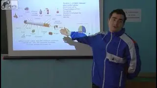 2018 - ОСД 