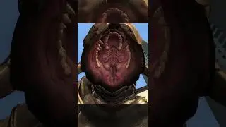 How Much can Fit in an Elite's Mouth?!