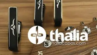 Taylor and Thalia Collection Capos