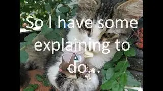 I Have Some Explaining to Do | LightningLpsTV