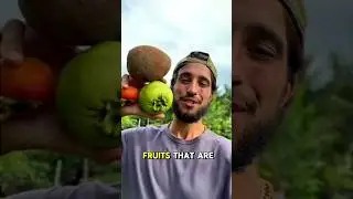 (P35)ASMR ! They Enjoy Delicious Fruits Grown In Their Garden #eatingfruit #asmrfruits #fruitcutting