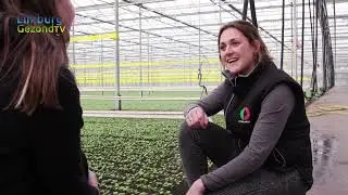 LimburgGezondTV - Aflevering 15 - Ortolanda Melderslo