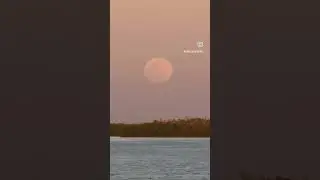 First full moon rise of 2023 in Marco island #travel #florida #moon #photography