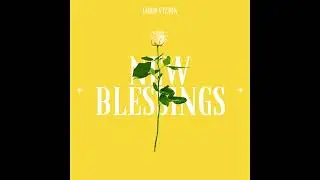 Lord Vizion - New Blessings (Official Audio)