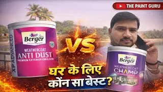 Berger weathercoat champ vs weathercoat anti dust | #thepaintguru #asianpaints #painting #jswpaints
