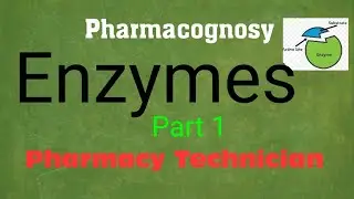 Enzymes (part 1) Pharmacognosy, Pharmacy Technician diploma, Category-B