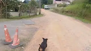 Final de de domingo 