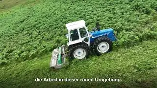 Cyclone verarbeitet Adlerfarn und Weiden in einem Arbeitsgang | MJ31-280 James Stewart