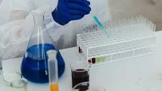 Professional scientific writing services for accurate, clear, and impactful research.