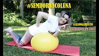 Fisioterapia coluna