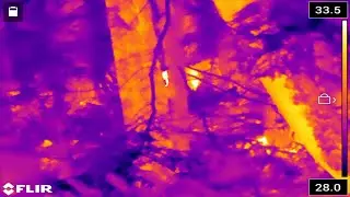 Expedition Bigfoot | Season 5 Episode 6 Preview [HD] [2024]