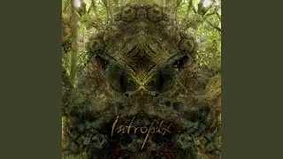 Pop My Partaj