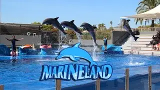 One day in Marineland Mallorca 2014