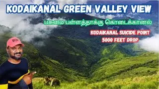 Kodaikanal Green Valley View Point | 5000 Feet Drop Suicide Point Kodaikanal | #kodaikanaltour