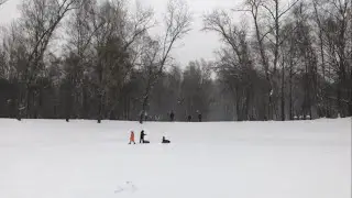 🧊 Сухой пруд.  На коньках. (🎻 Zoo - Vespercellos).