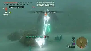 Zelda TotK - Automaton Taserface  mk. 2 vs Frost Gleeok.