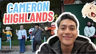Cameron Highlands Vlog! (Gaduh Sepanjang Trip)