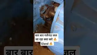 🌎monoblock water pump 🔥 gland burn 🔥 #rajelectricals #electricalindia #watersupply #highlights
