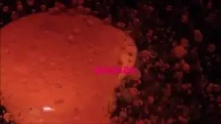 audace - Retour (PewDiePie BIRDABO Outro Song)