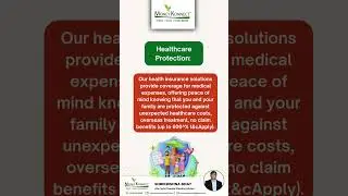 Our Insurance Solution