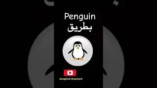 بطريق باللغة الإنجليزية penguin
