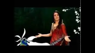 Indian Idol Season 2 Mini Mathur promo